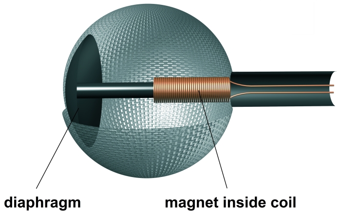 microphone cutaway